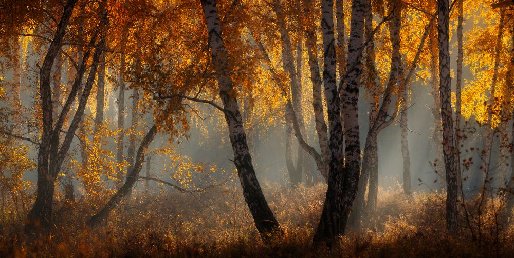 Прогулка в осень