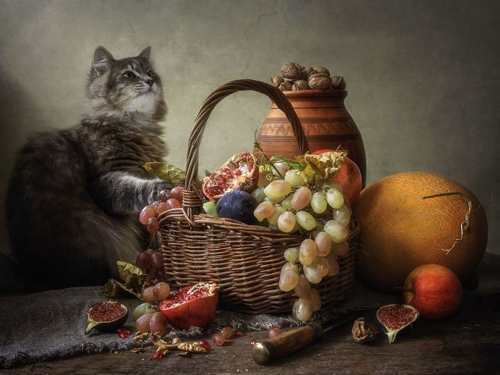 Ревизия фруктовой корзины