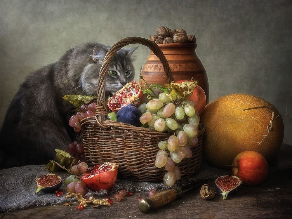 Ревизия фруктовой корзины
