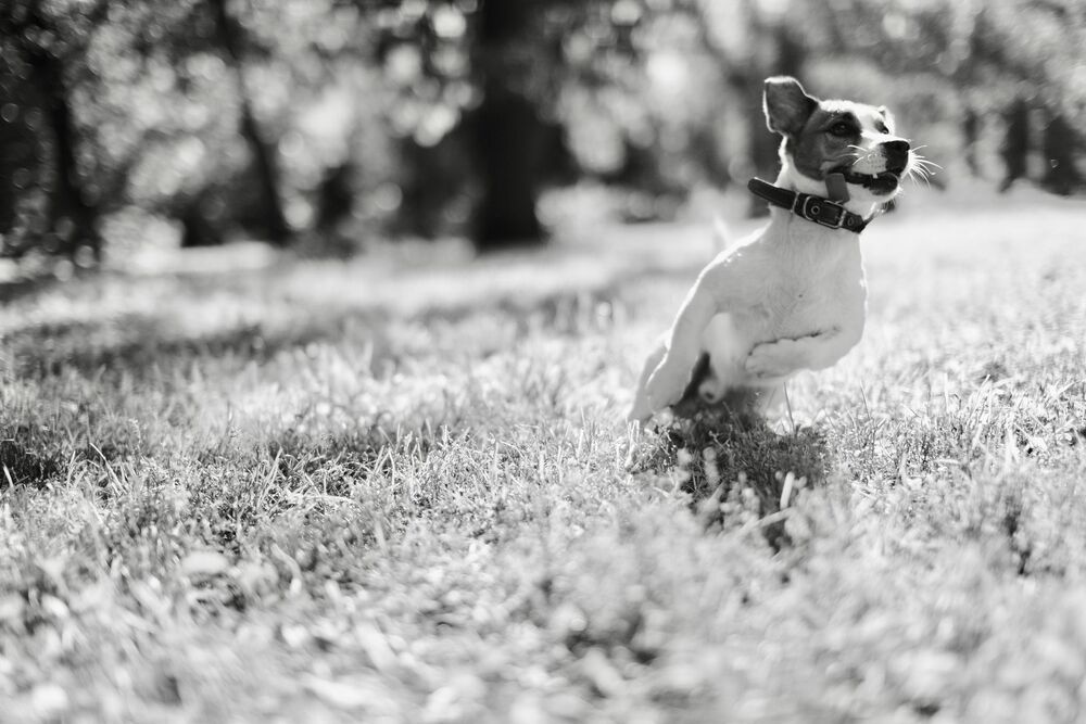 Photo 1180743