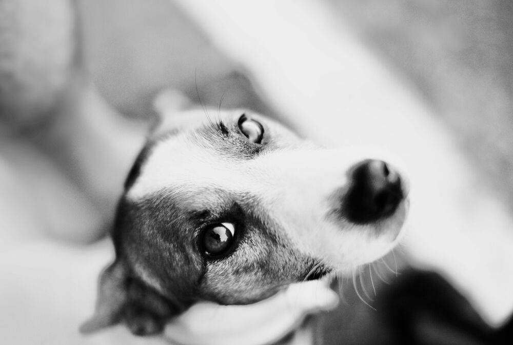 Photo 1180745