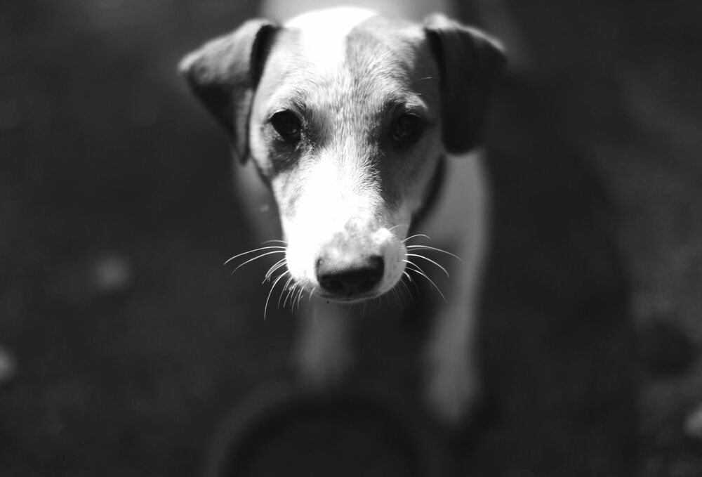 Photo 1180747
