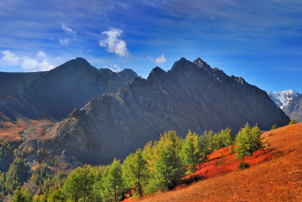 Алтайская осень 2011