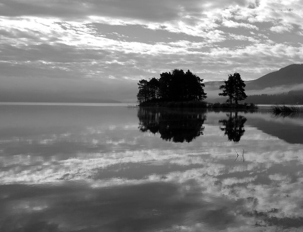 Black and white.