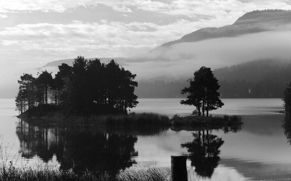 Black and white.