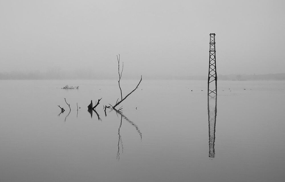Black and white.
