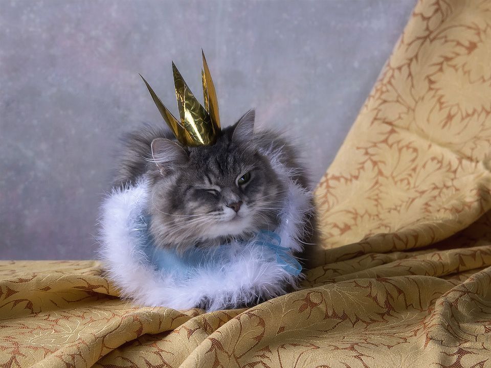 Вот выговорите :"Царь, царь!" А выдумаете, нам, царям, легко?