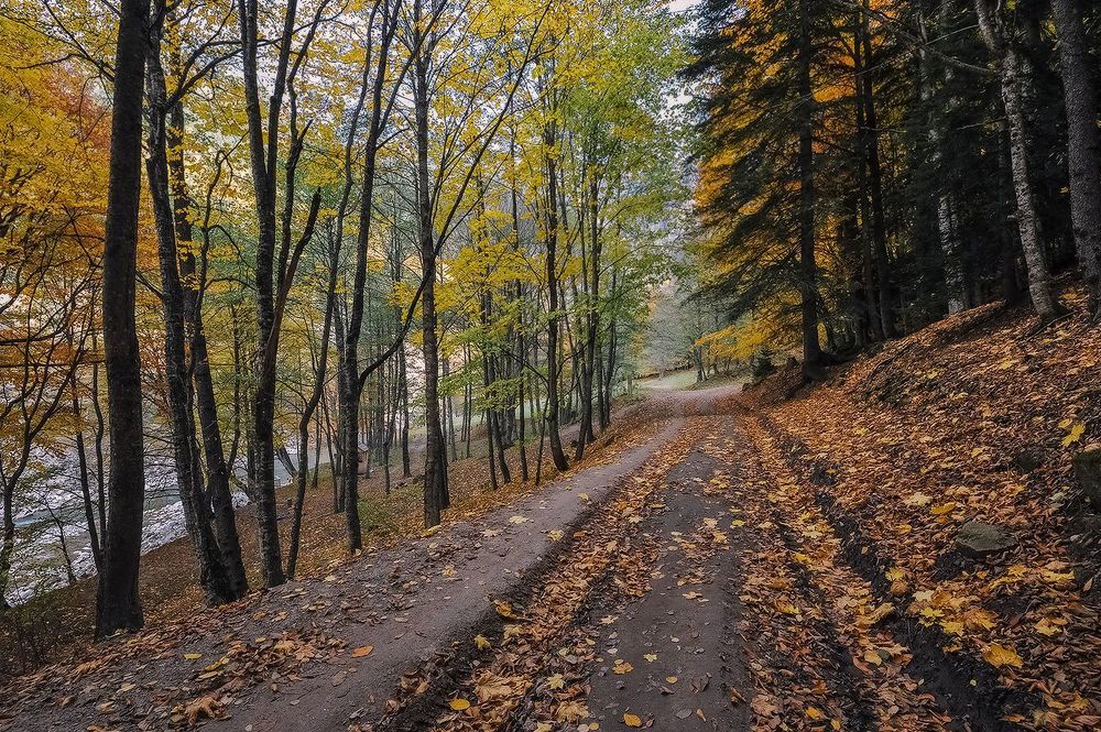 По дороге к Загедану 2
