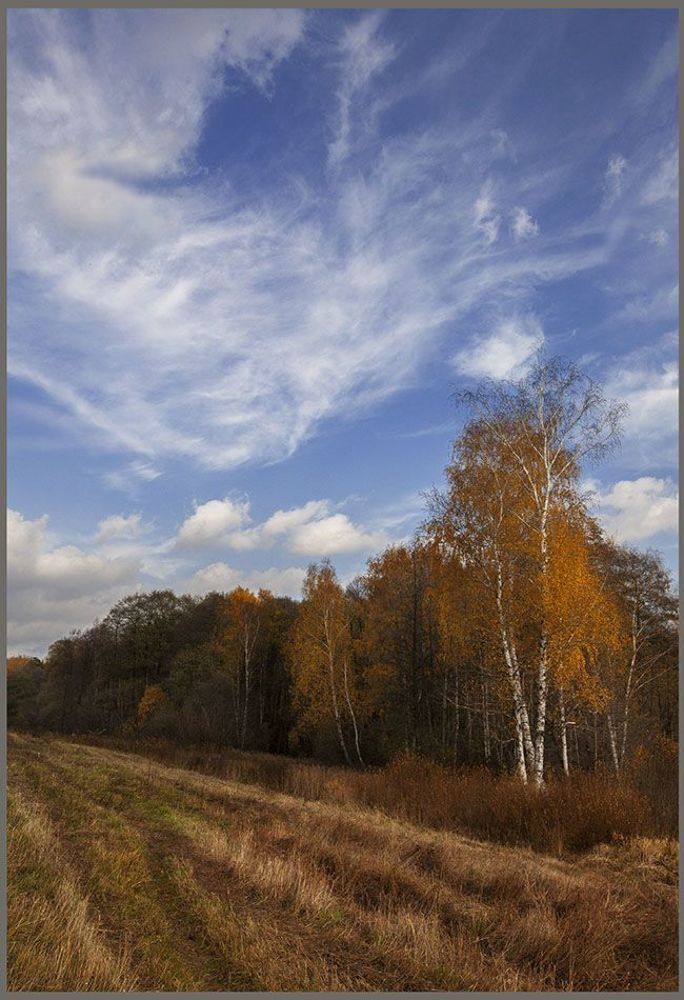 осень