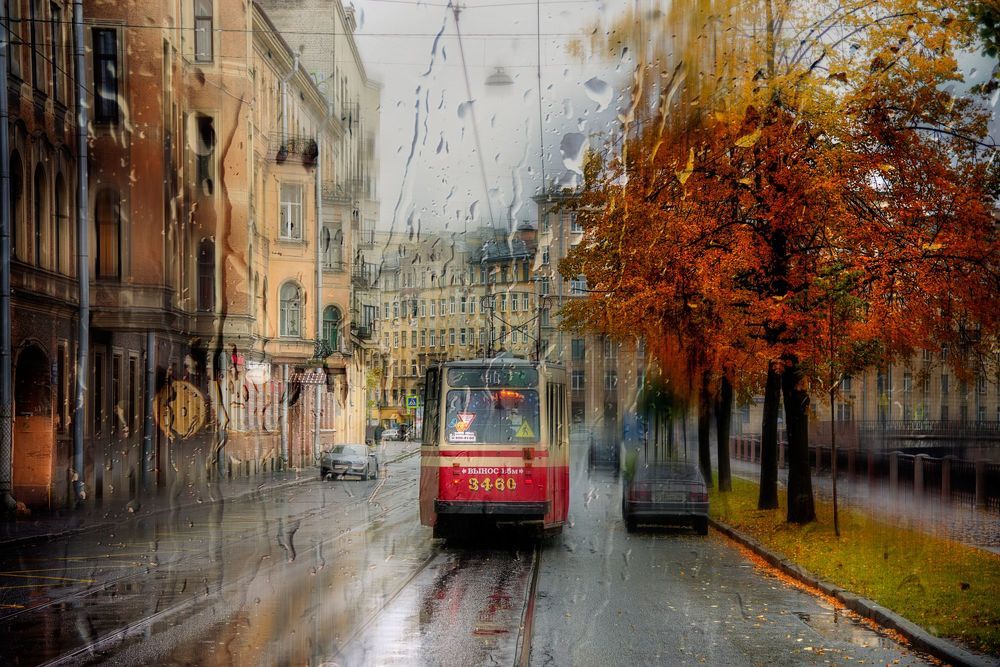 Осенние фотографии...