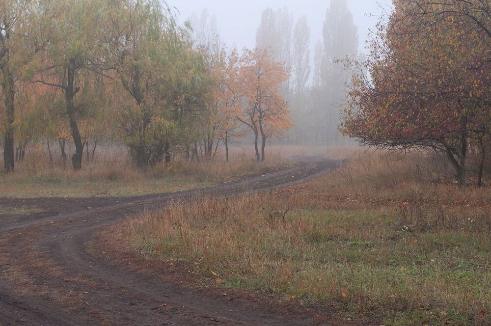 В туманную укутав шаль...