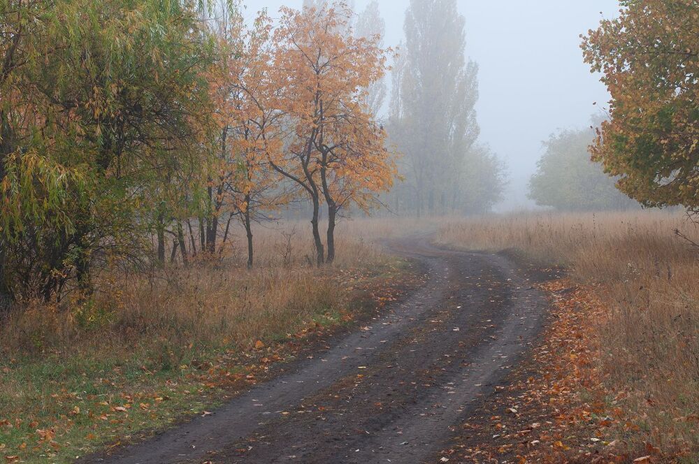 В туманную укутав шаль...