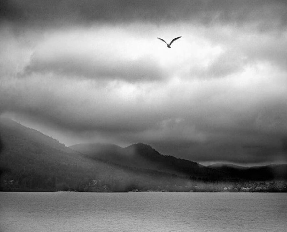 Flight