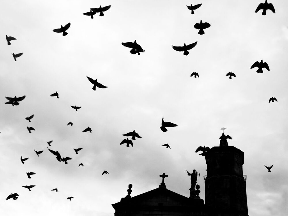 Flight