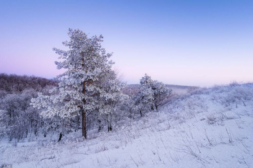 Замороженные ..