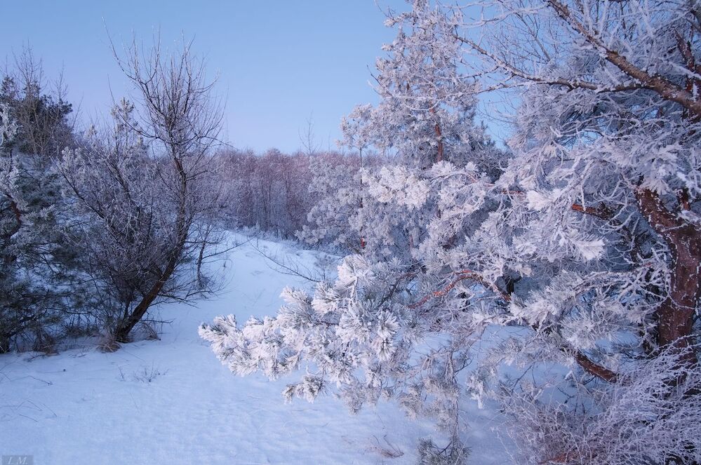 Замороженные ..