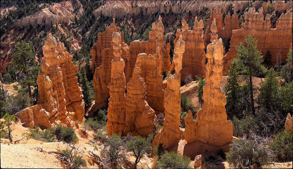 Bryce Canyon - прощальный взгляд