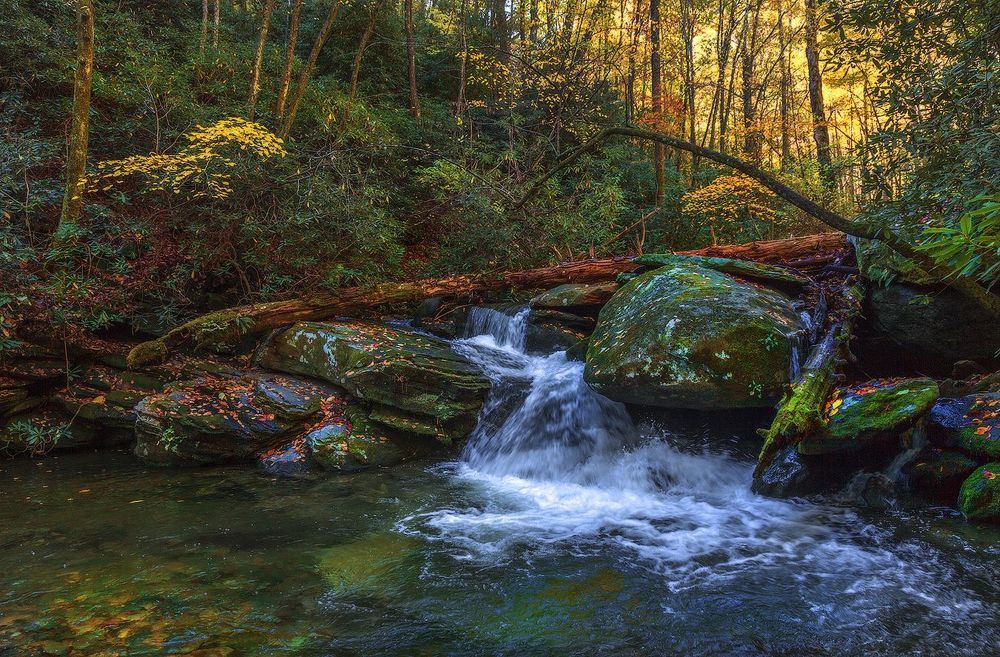 Catawba