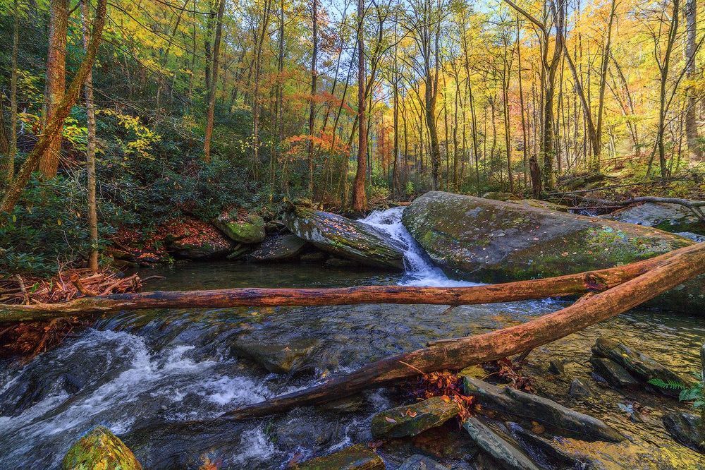 Catawba