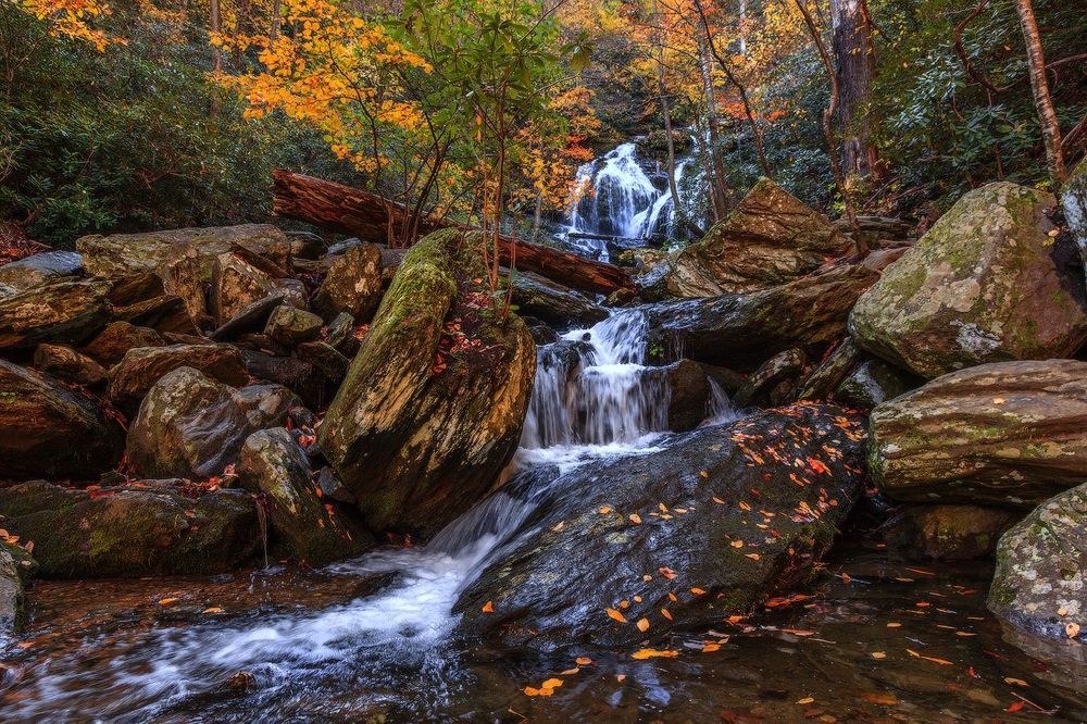 Catawba