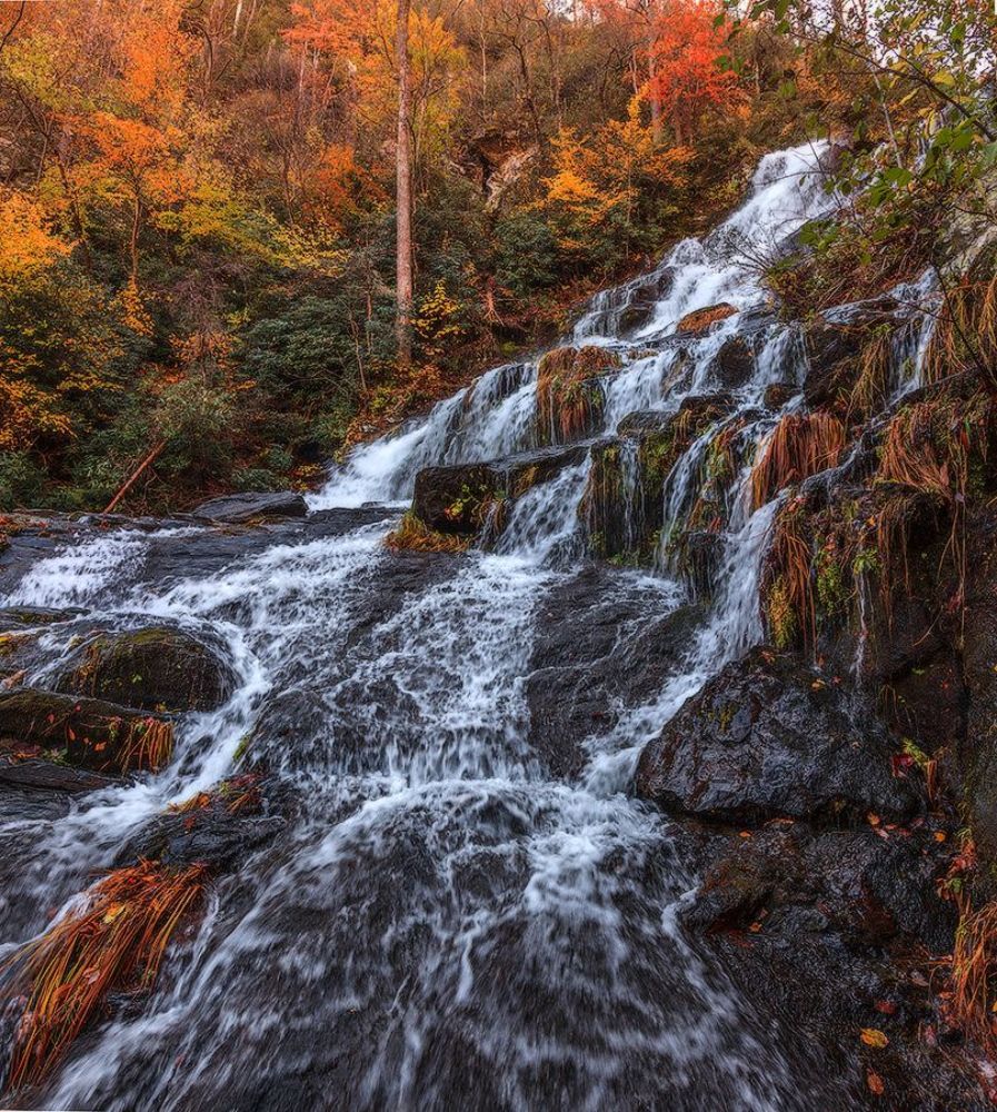 Catawba
