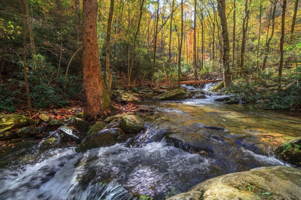 Catawba
