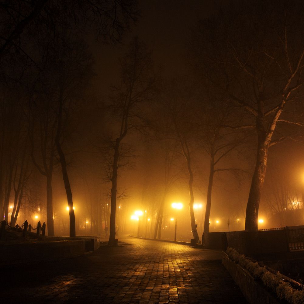 вечер, туман