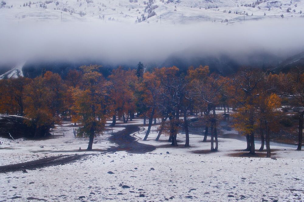 Осенняя пастораль
