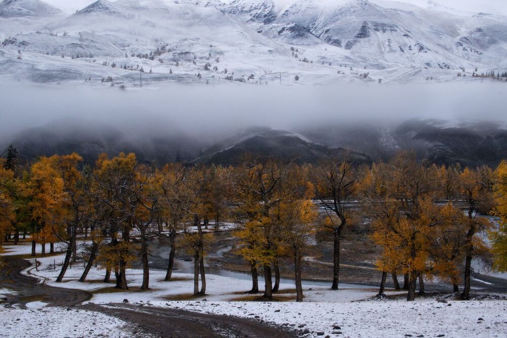 Осенняя пастораль