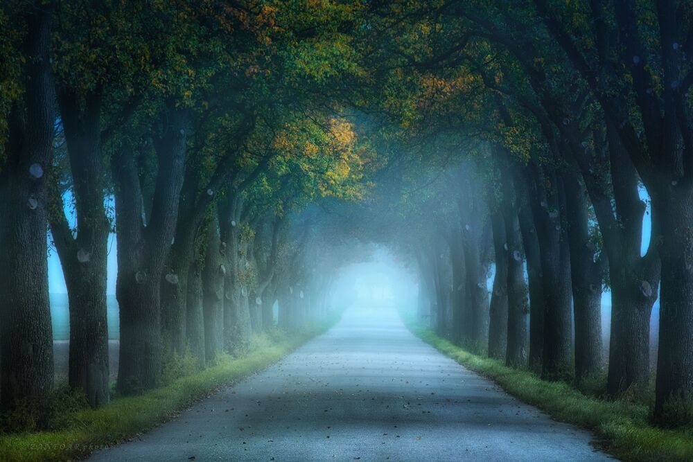 Alley in autumn
