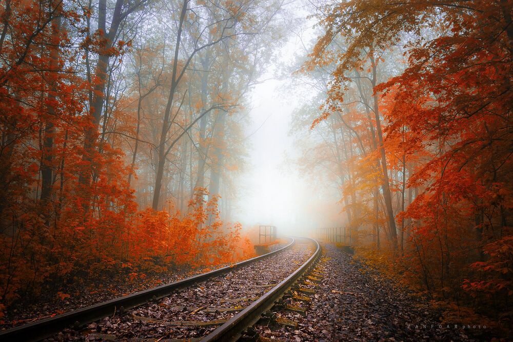 Alley in autumn
