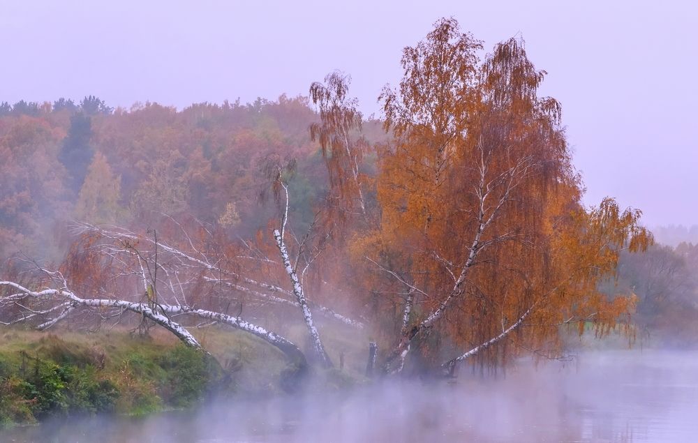Осень на Свислочи