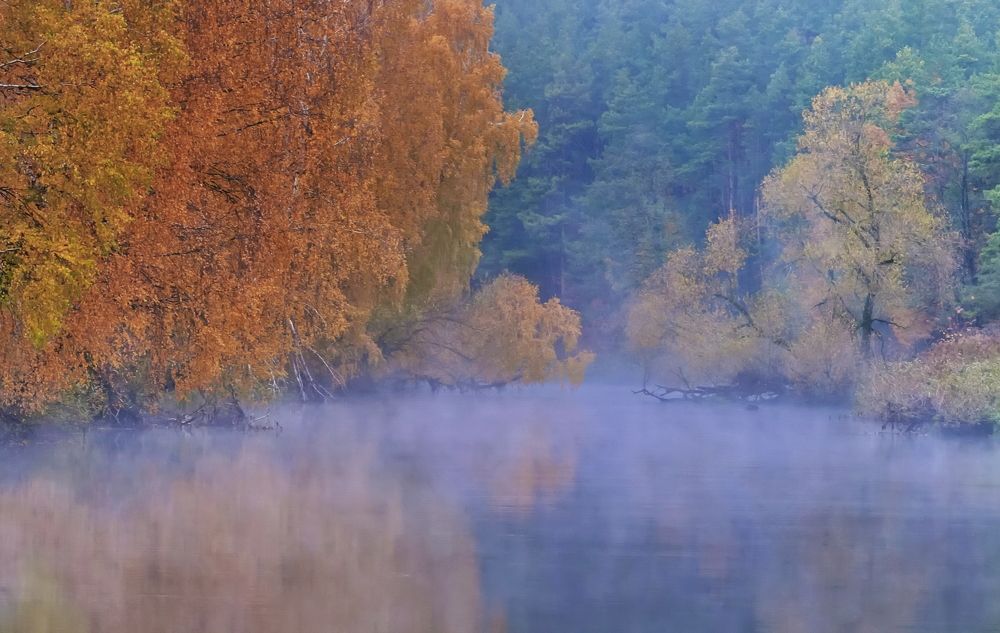 Осень на Свислочи