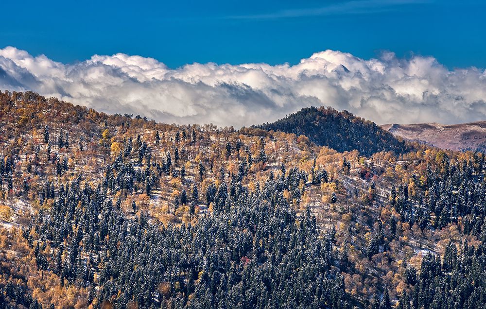 Осень в горах Кавказа
