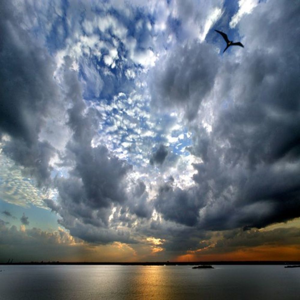 Freedom