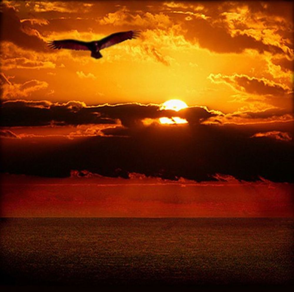 Freedom