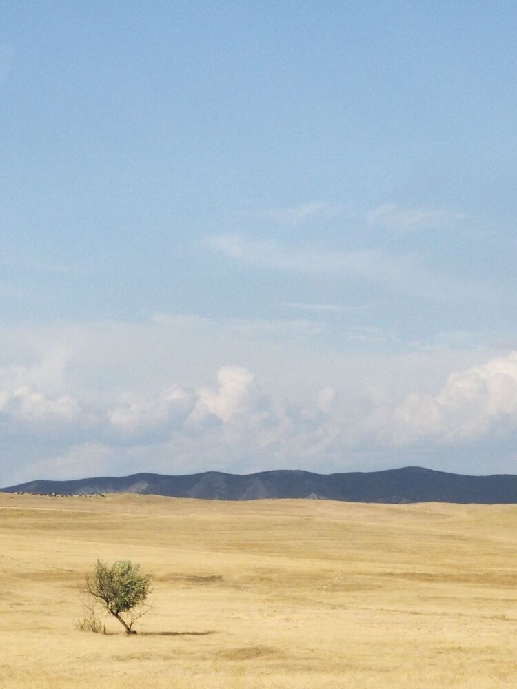 Поля Грузии