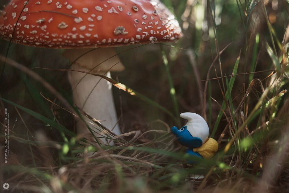 Smurfs