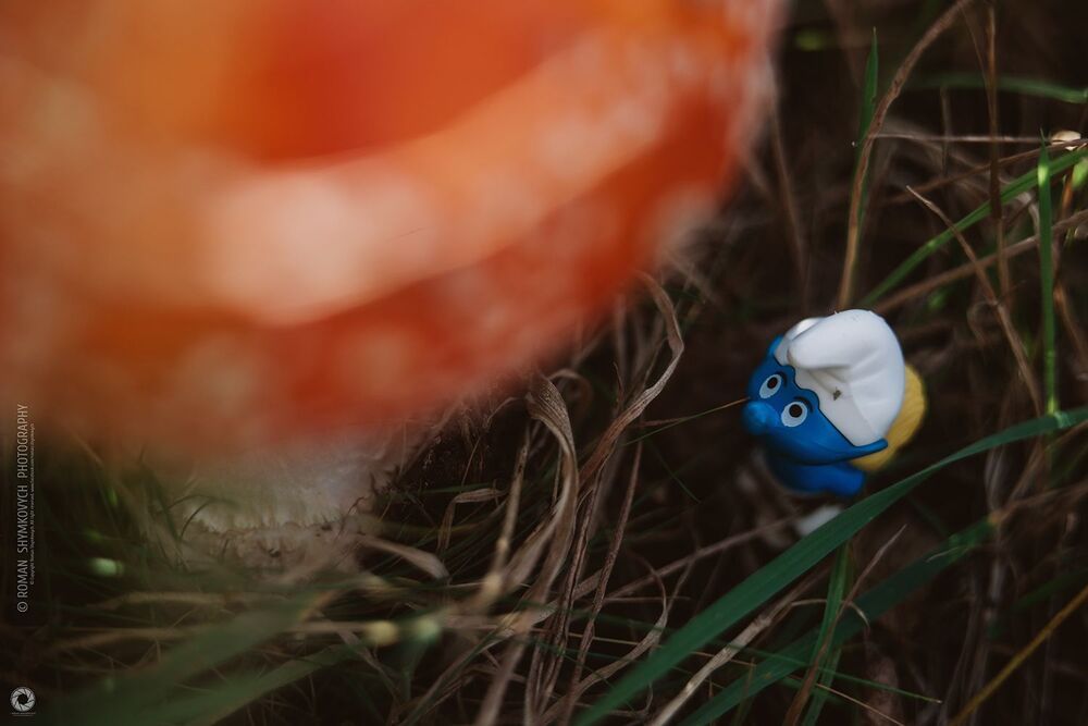 Smurfs