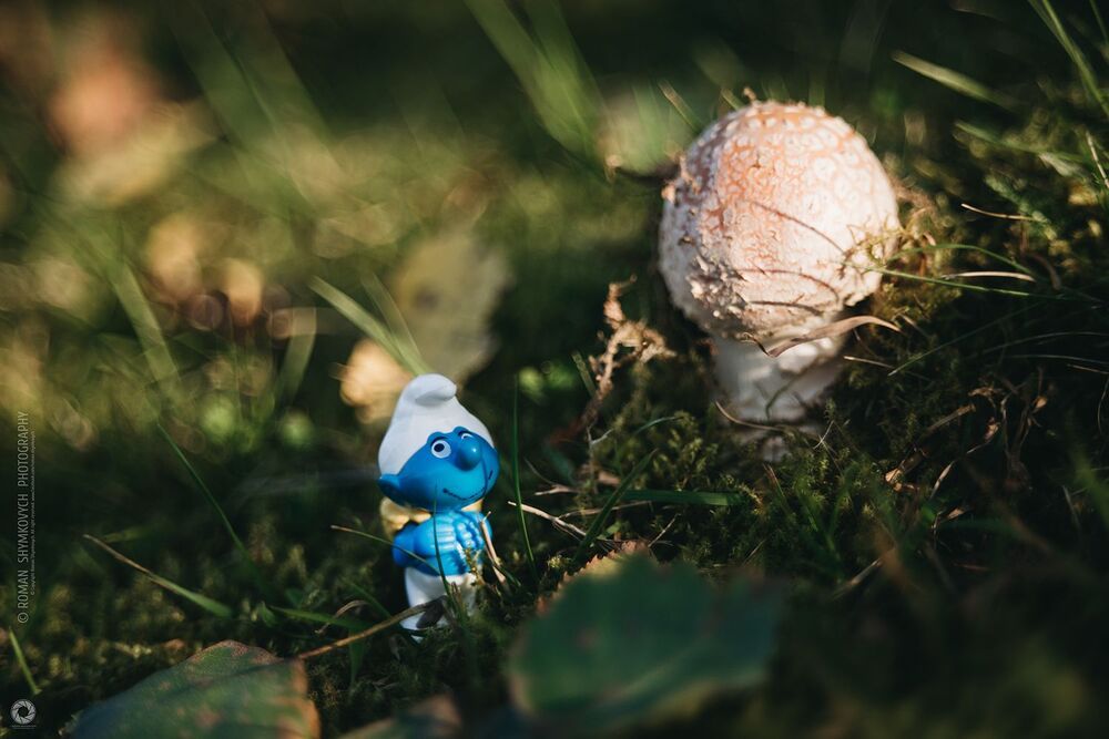 Smurfs