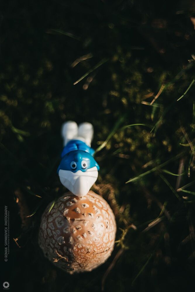 Smurfs