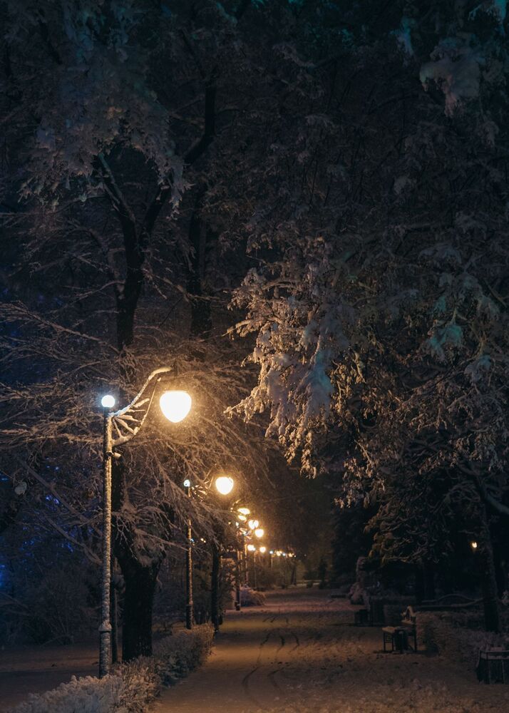 ноябрьская зима