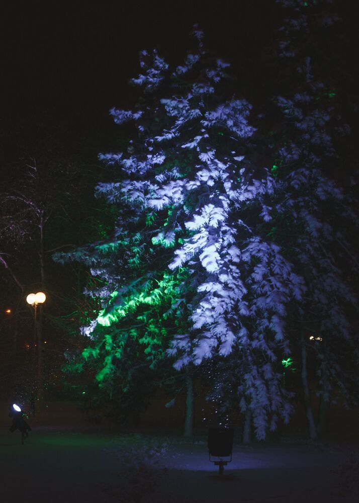 ноябрьская зима