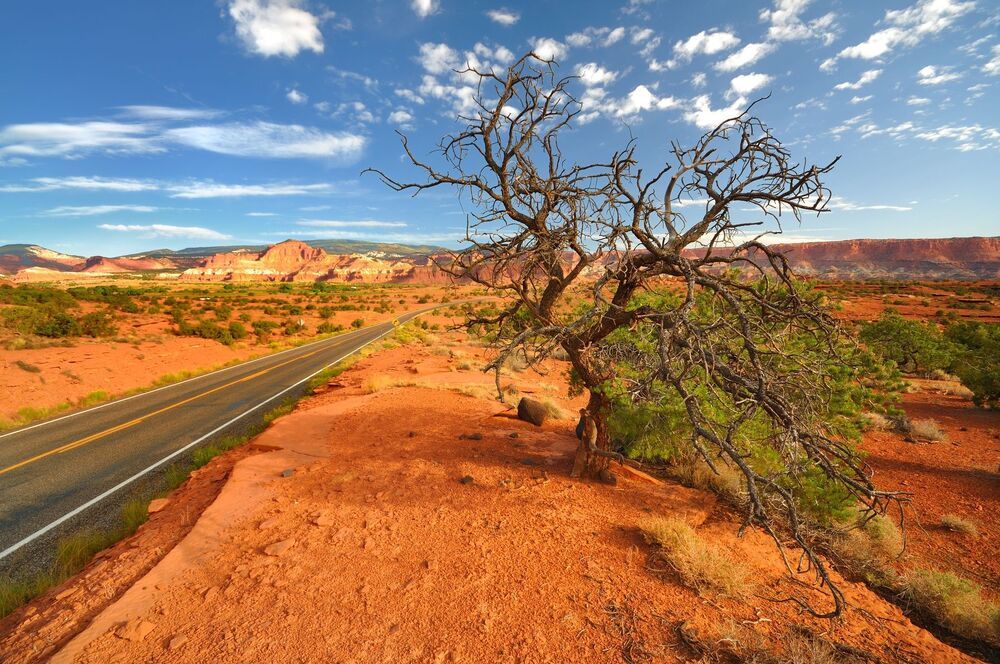 USA national parks by Jiri Kuchar