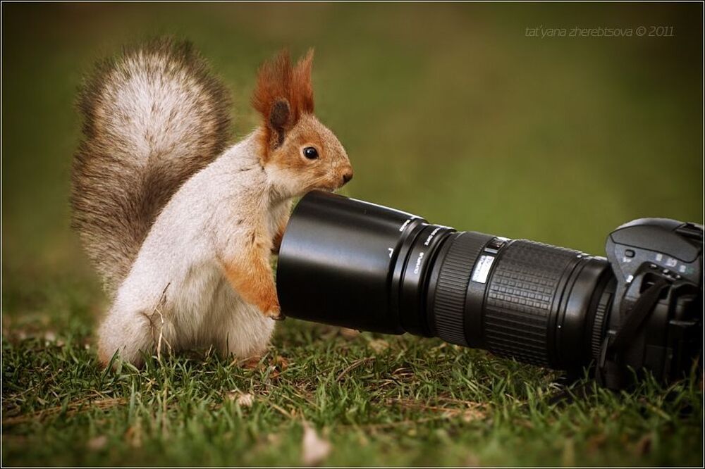 Фотолюбитель