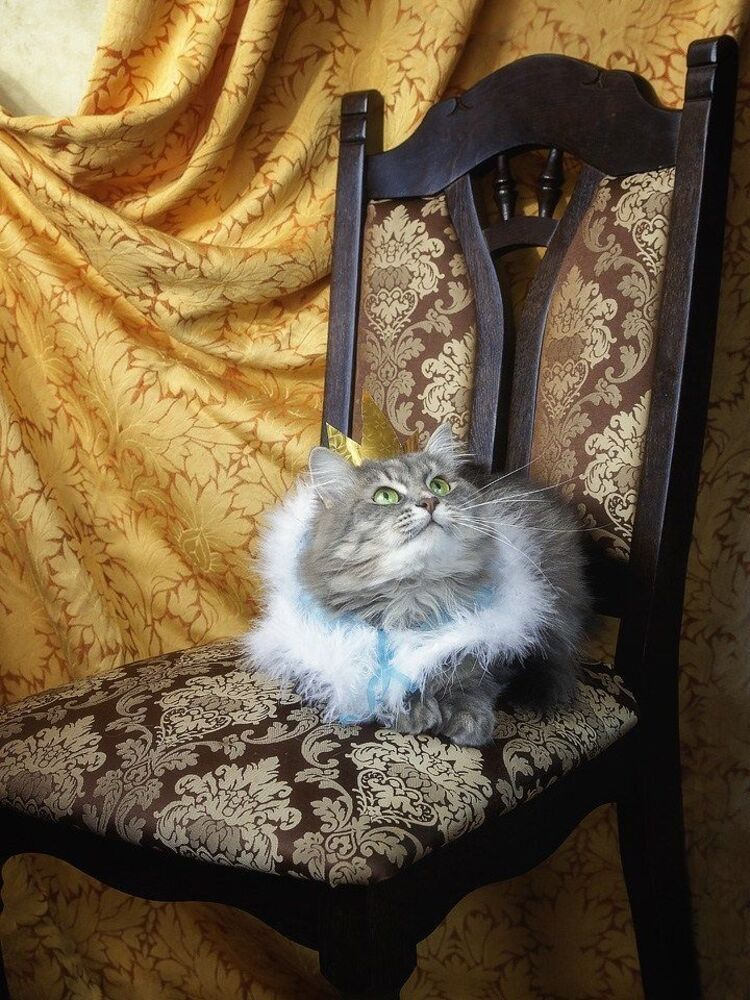- О чем еще можно мечтать?