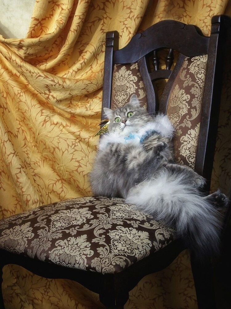 - Упс, корону потеряла!
