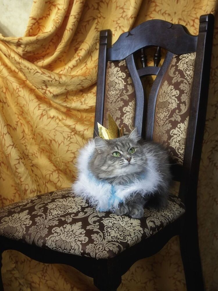 - Ну и что вам еще от моего величества надо?