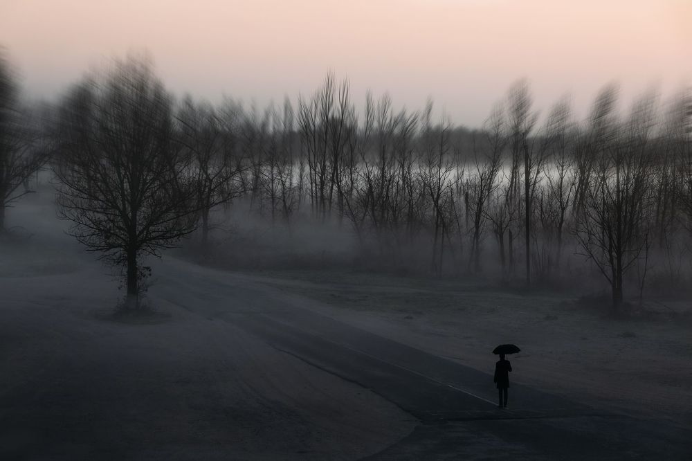 Photo 1191272