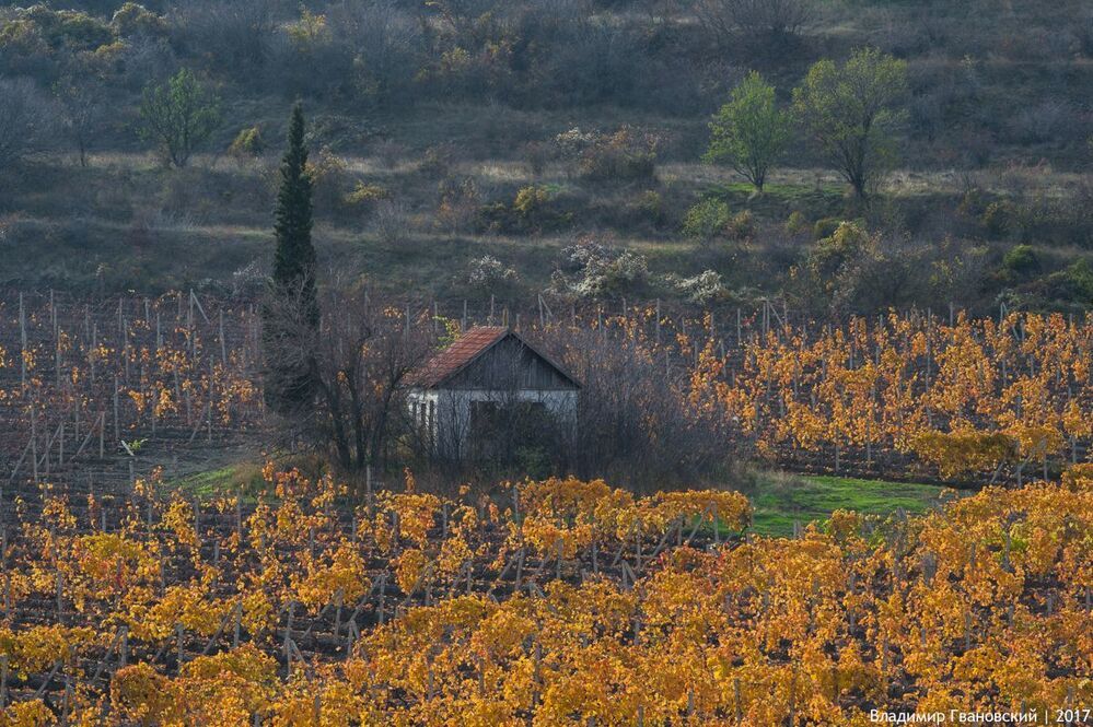 Крымская Тоскана